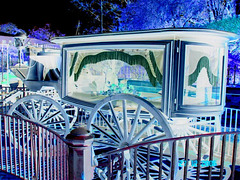 Haunted Mansion's hearse - En négatif - Disneyworld / Orlando, Floride - USA / 27 décembre 2006