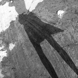 shadow