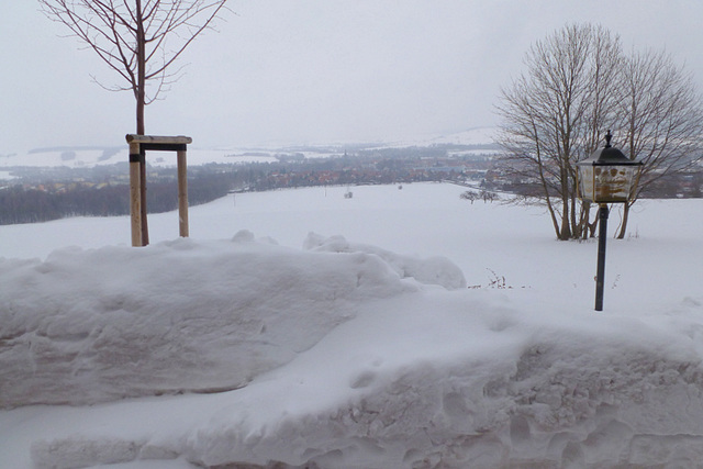 1.4.2013 - Götzinger Höhe bei Neustadt  Sachsen