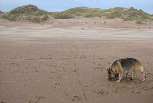 Menie Links - Protest walk 003