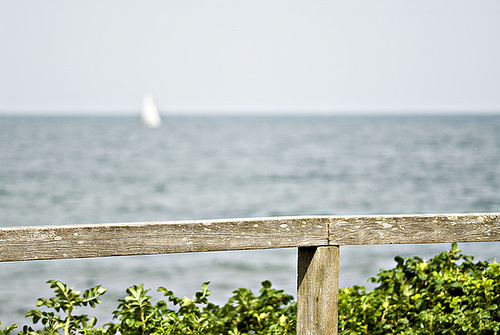 Memories of the summer