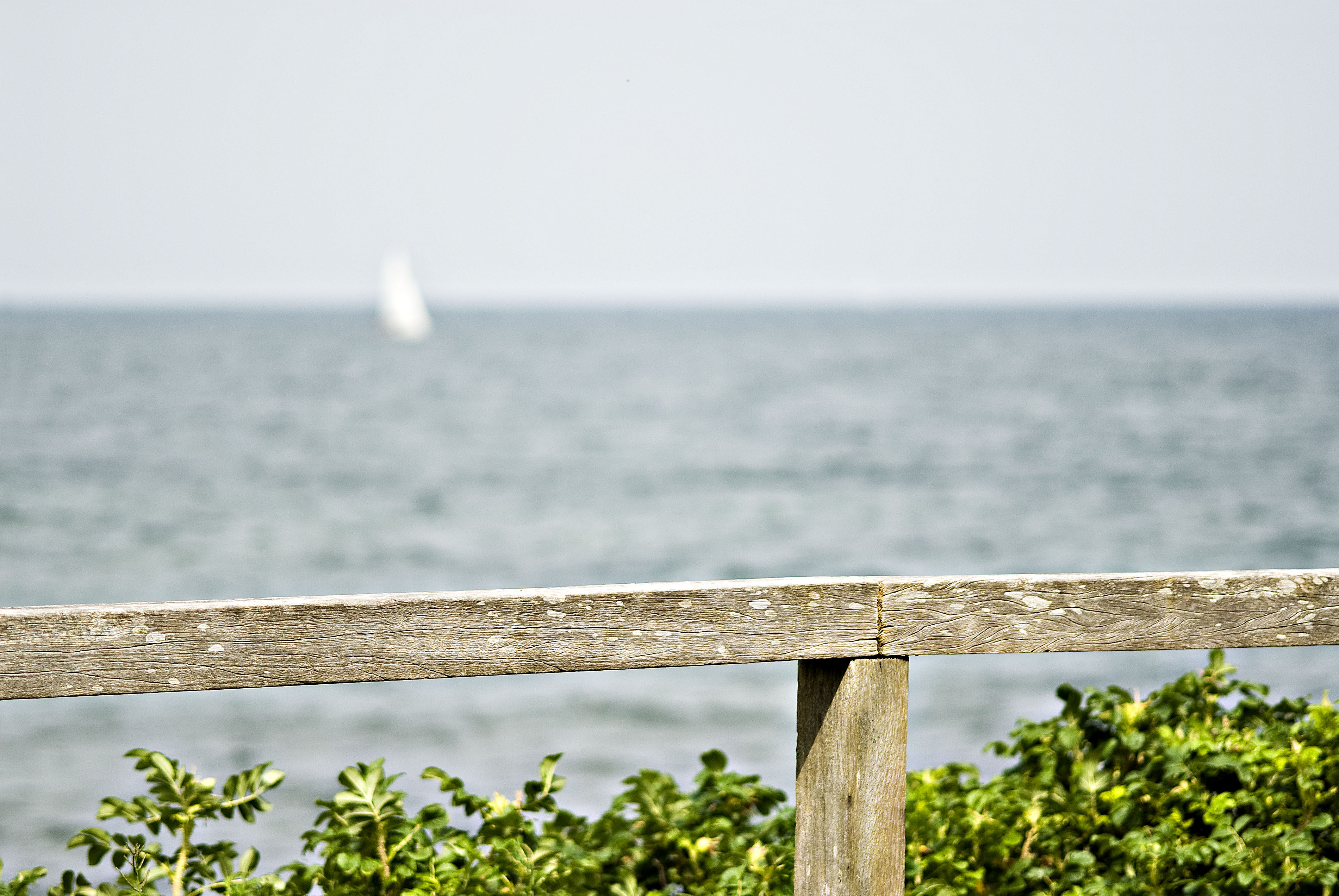 Memories of the summer