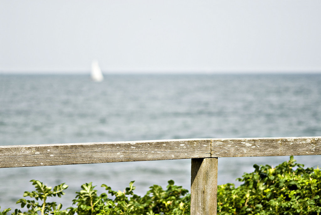 Memories of the summer