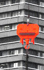 Red crane