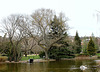 Le Bassin et le Sophora