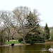 Le Bassin et le Sophora