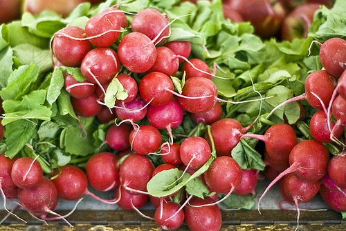 Radish