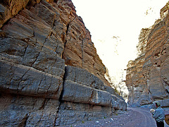 Titus Canyon (6672)
