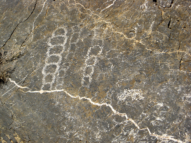 Titus Canyon Petroglyphs (1193)