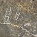 Titus Canyon Petroglyphs (1193)