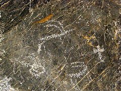 Titus Canyon Petroglyphs (1195)