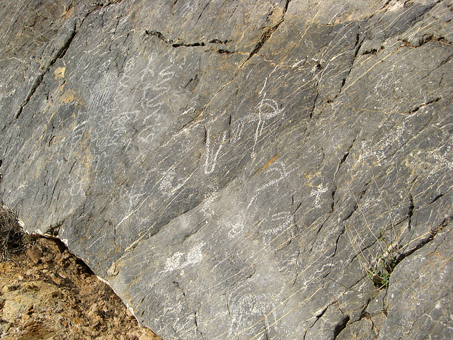 Titus Canyon Petroglyphs (1196)