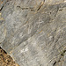 Titus Canyon Petroglyphs (1196)