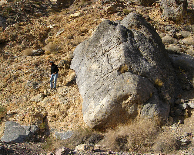 Titus Canyon Petroglyphs (1197)