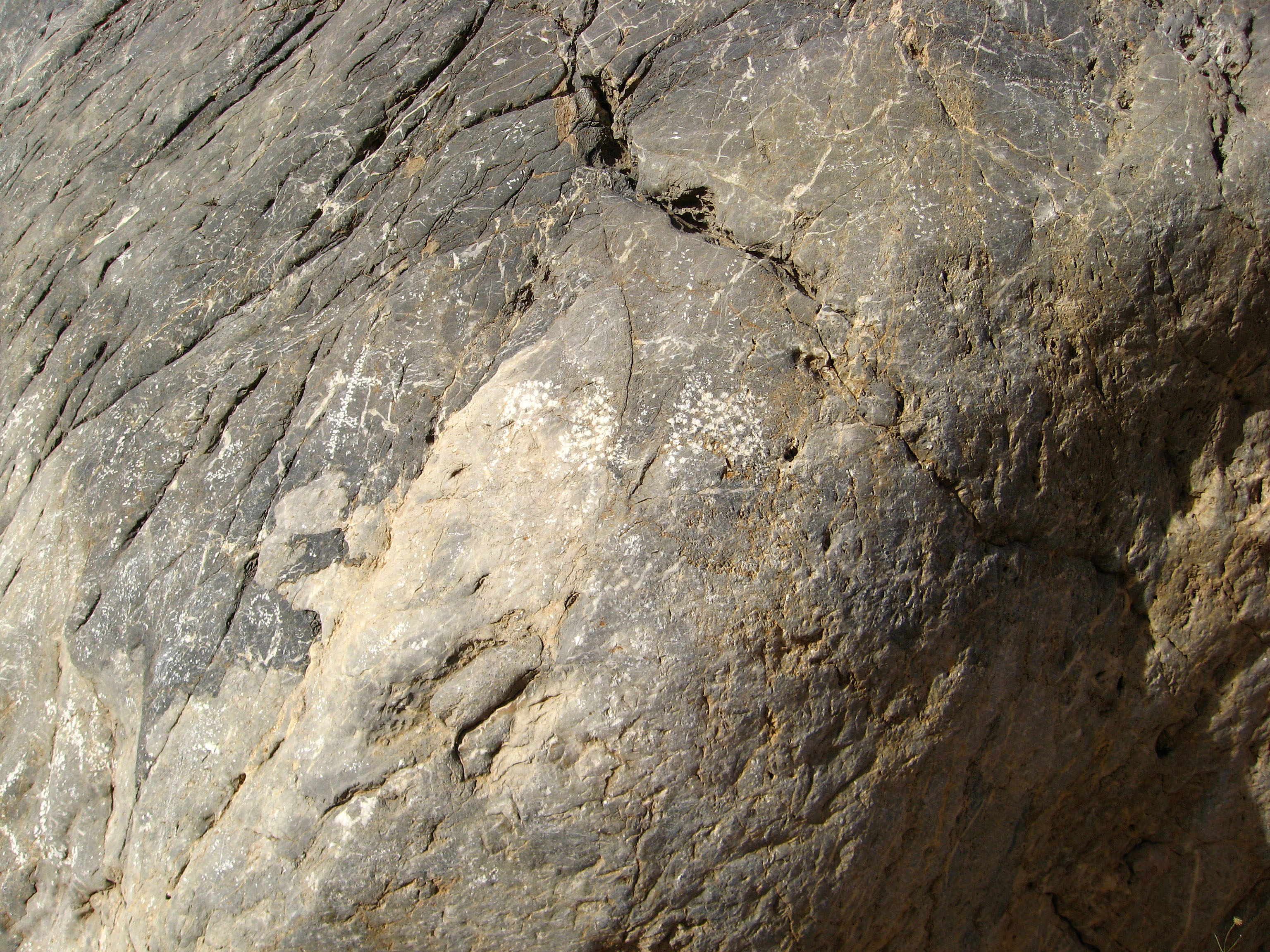 Titus Canyon Petroglyphs (1198)