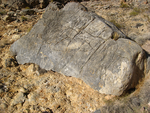 Titus Canyon Petroglyphs (1199)