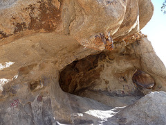 Disney Petroglyph Site (2584)