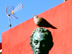 Landeplatz (Simon Bolivar) / wharf