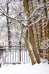 Neĝoĝuantoj - Schneegeniesser Neĝoĝuantoj - Schneegeniesser