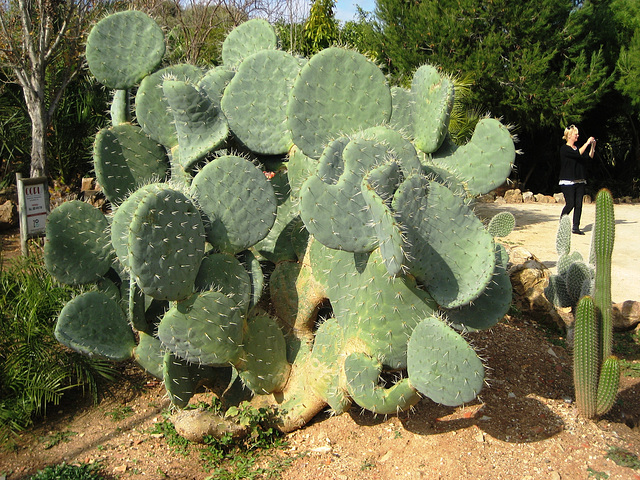 Algarve, Zoo Garden of Lagos, may I hug you? (1)