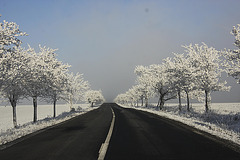 Winterliche Landstraße
