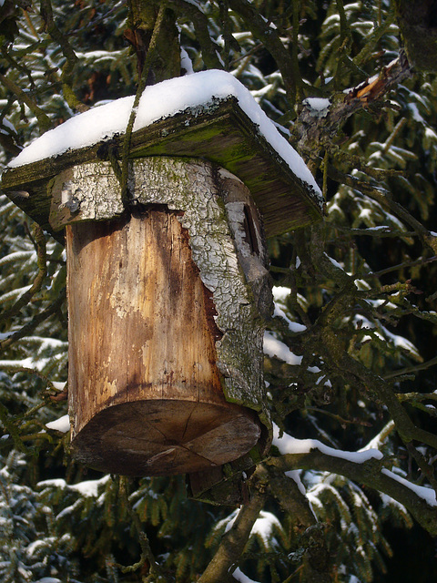 Vögleins Heimstatt (birdhouse)