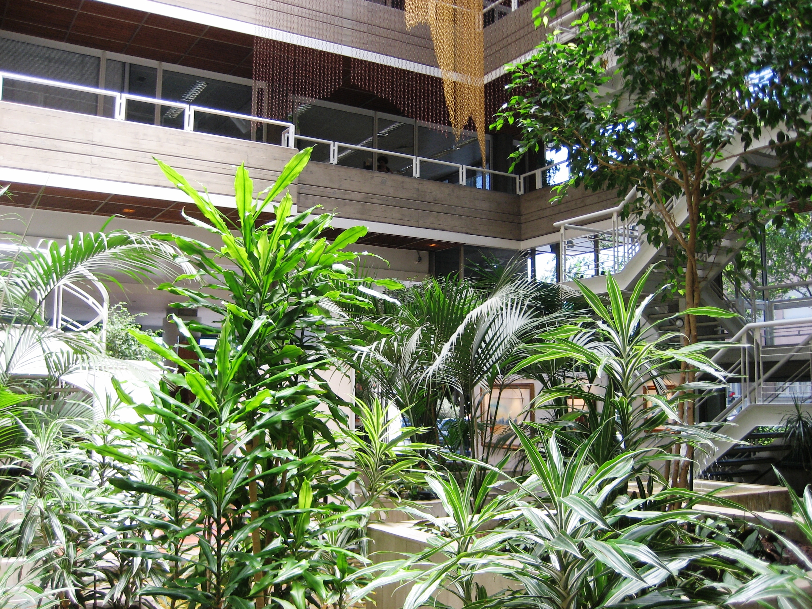 Lisboa, interior garden