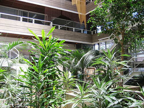 Lisboa, interior garden