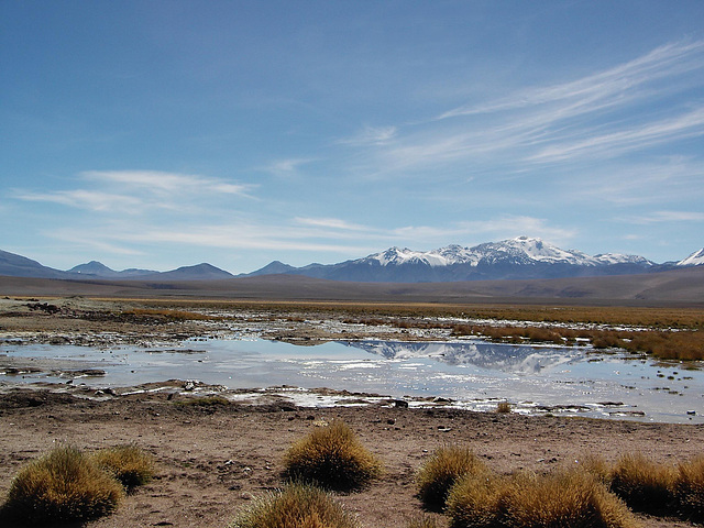 Altiplano 01