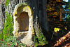 Klosterlinde in Küstelberg