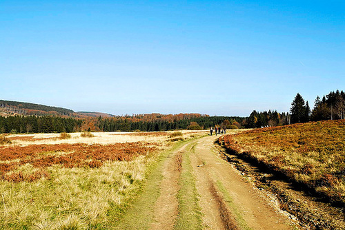 Naturschutzgebiet Neuer Hagen
