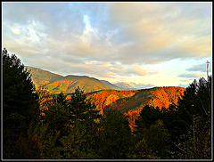 Otoño en la selva de Irati (Navarra)-29