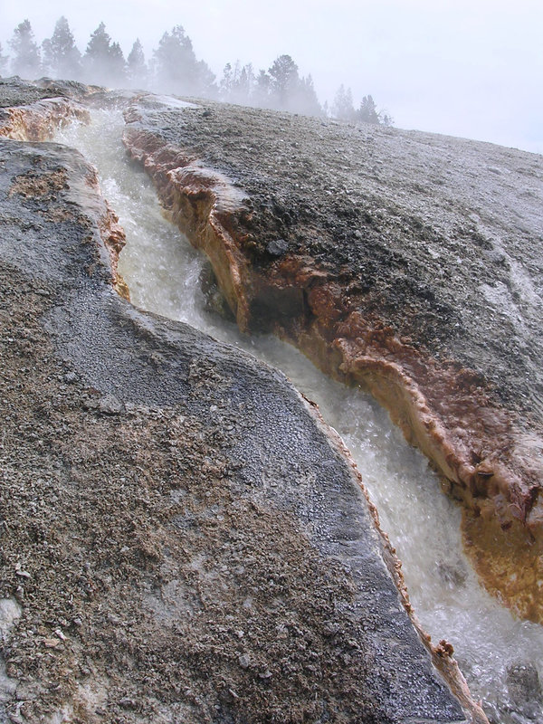 dünne Kruste