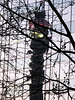 PO Tower