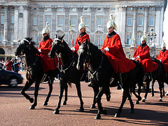 horse-guards