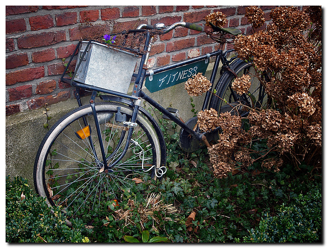 Fitness-Fahrrad