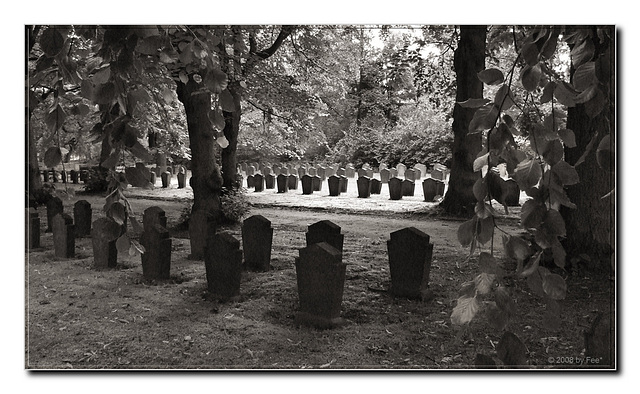 Cemetery