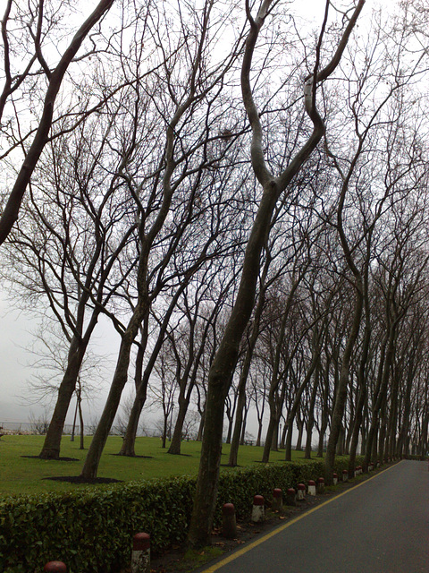 Pamplona: invierno en el parque 2.