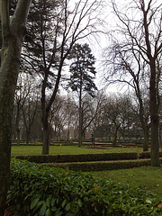 Pamplona: invierno en el parque 1.