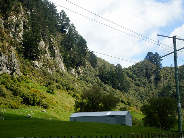 Lake Whakamaru backdrop