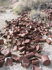 Rhyolite Can Dump (8663)