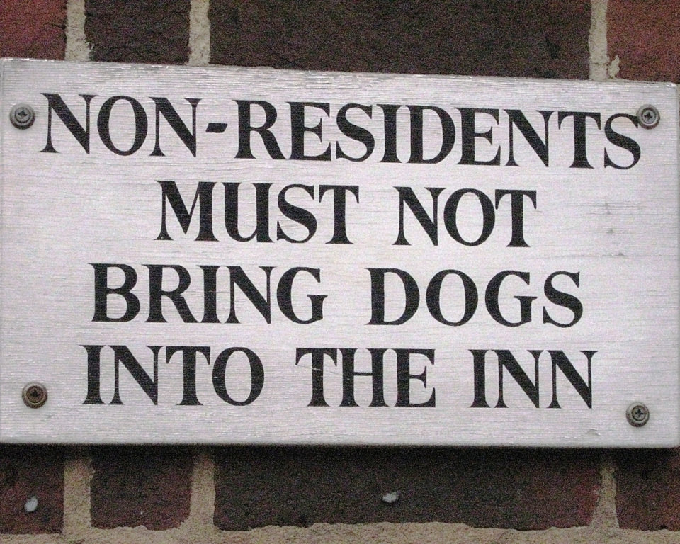 No dogs