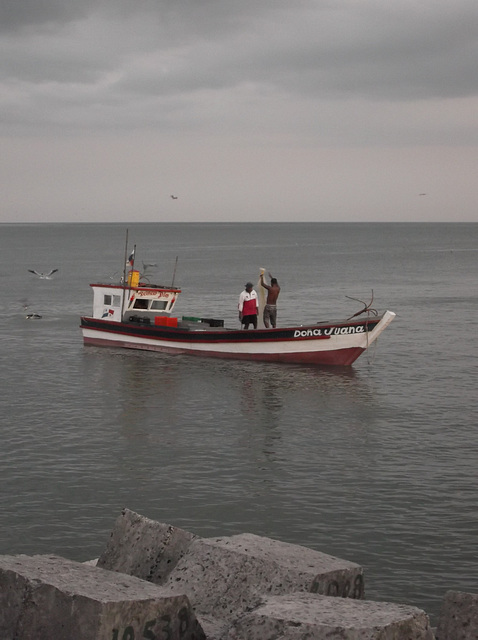 Dona Juana - Pêche au filet au crépuscule / Net fishing at dusk.