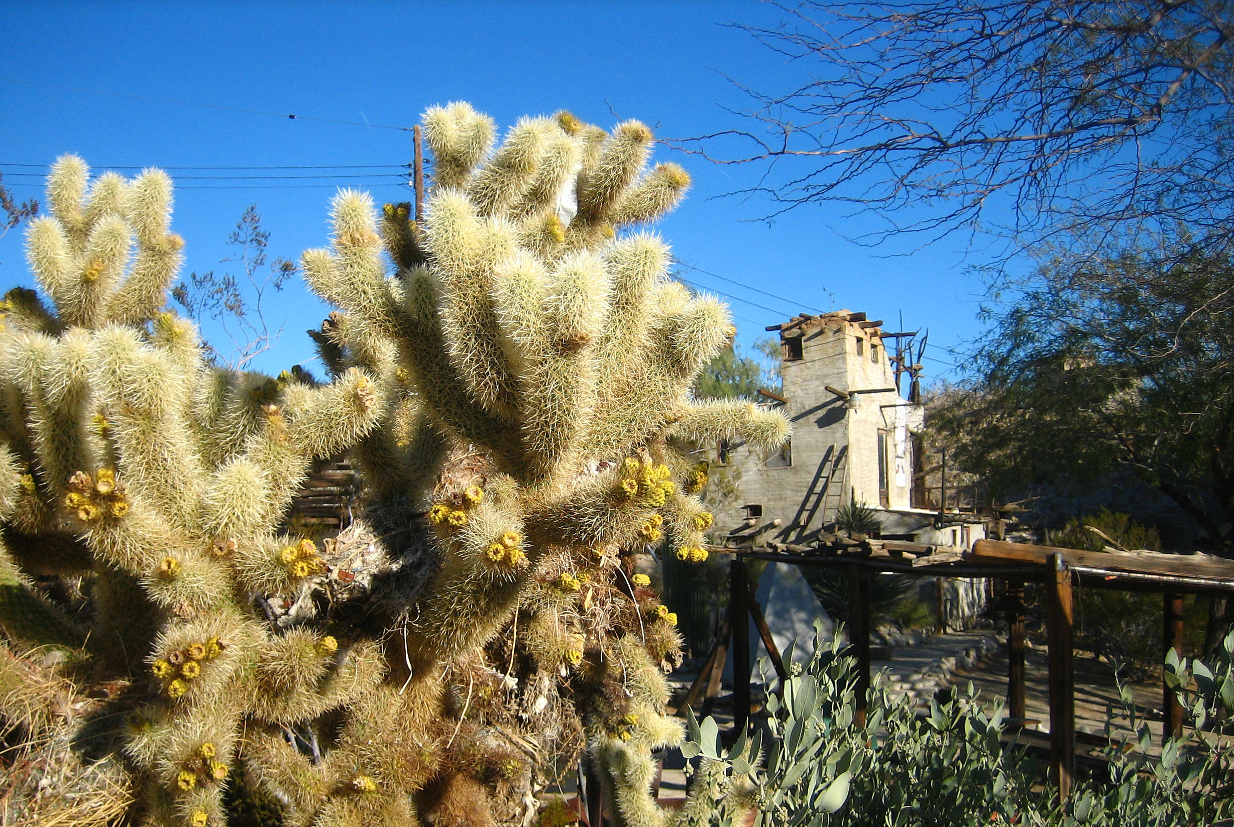 Cabot's Pueblo Museum (8190)