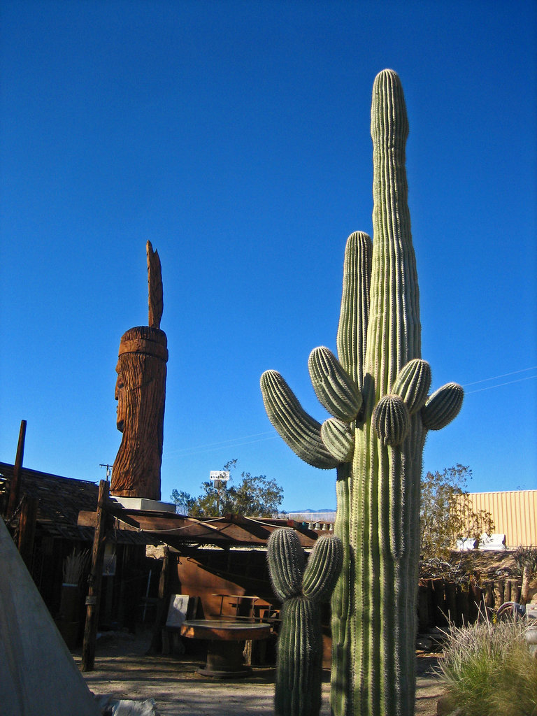 Cabot's Pueblo Museum (8186)