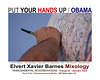 PutYourHandsUp.Obama.Inaugural.January2009.MessageBoard.WDC.7nov08.EXBMixology