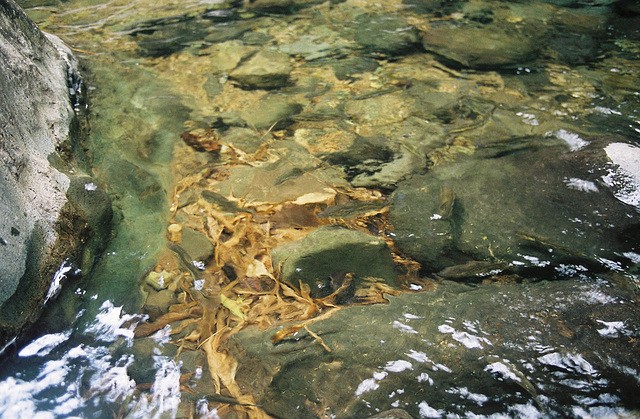 La trace des jésuites Martinique 2006