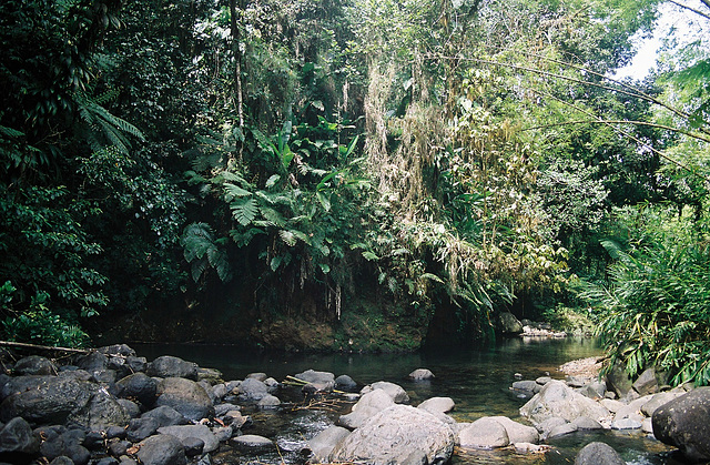 La trace des jésuites Martinique 2006