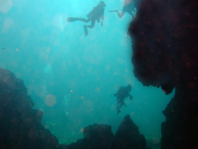 Diving into the cave