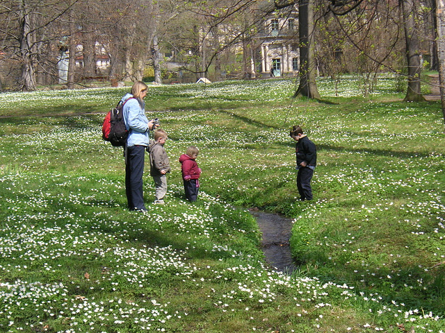 Im Frühling